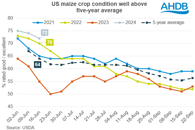 Maize crop condition graph US 18 06 2024
